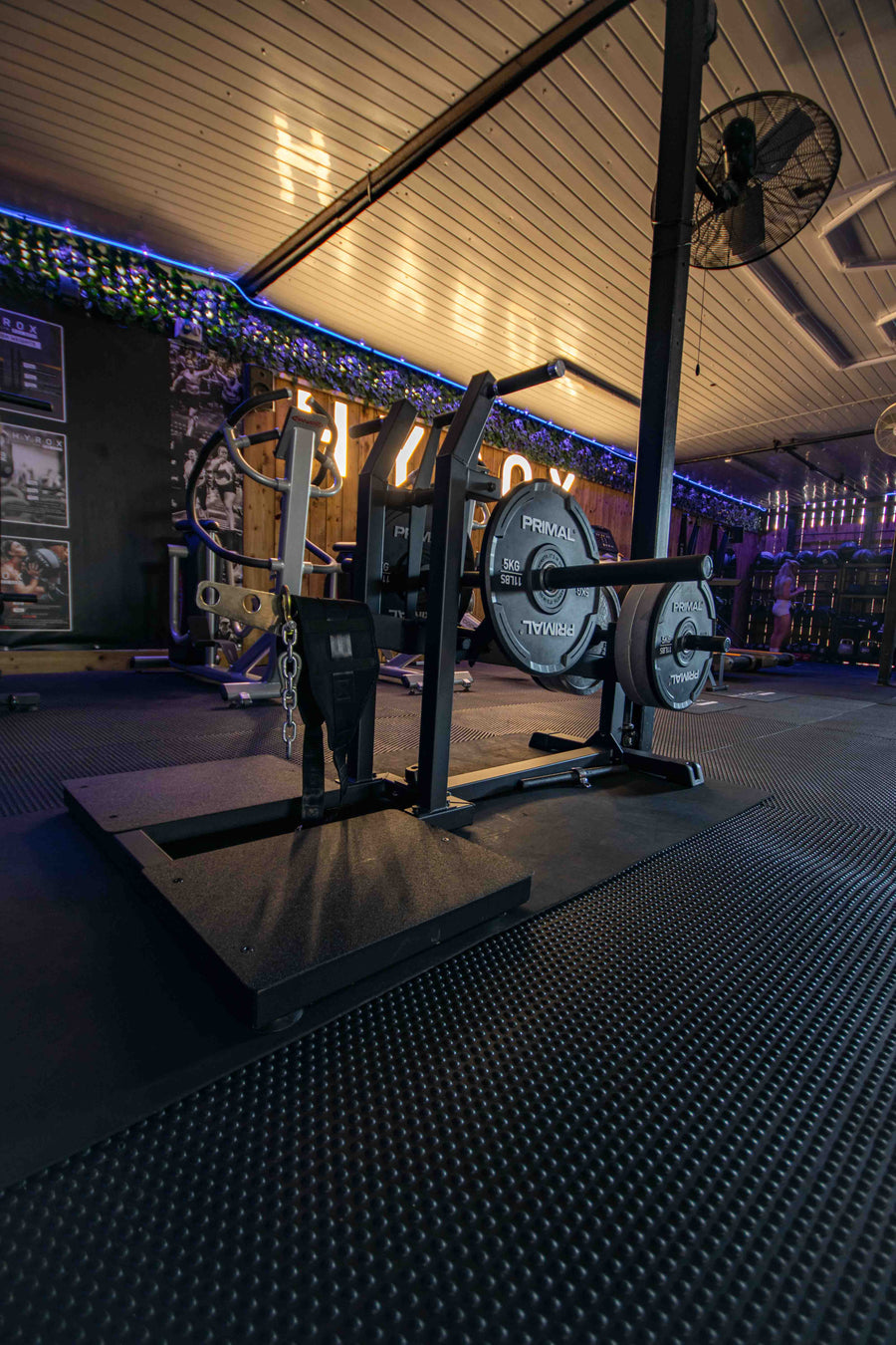 Plate-loaded belt squat machine at Mas Body Gym Middlesbrough