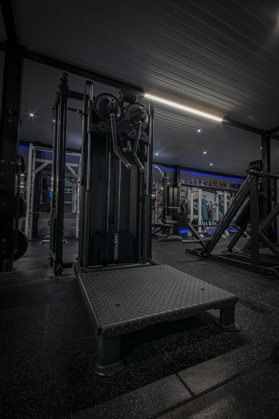 Skelcore Multi Flight standing fly machine at Mas Body Gym Middlesbrough