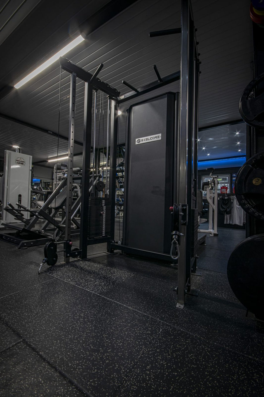 Watson Gym Equipment dual adjustable pulley cable station at Mas Body Gym Middlesbrough